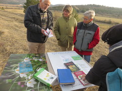 Jounée mondiale des zones humides