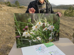 Jounée mondiale des zones humides