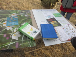 Jounée mondiale des zones humides