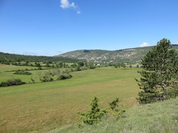 Journée ZH  du Buan à Malaval à Monieux