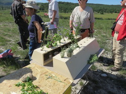 Journée ZH  du Buan à Malaval à Monieux