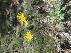 Journée ZH  du Buan à Malaval à Monieux
