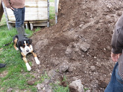 La ferme lombricole de Velleron