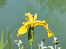 La graineterie Roux de Carpentras & le lac des Gravières
