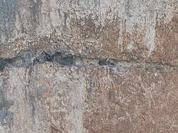 La mécanique du vol des oiseaux