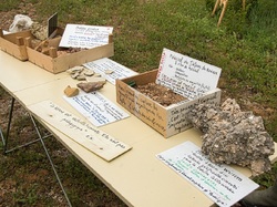 La nature à la montagne