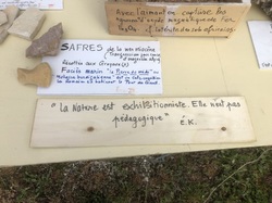 La nature à la montagne