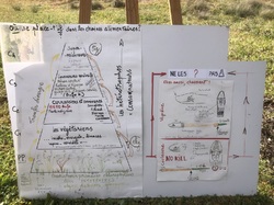 La nature à la montagne