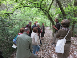 Le Défend à Venasque