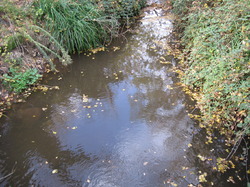 Le Fiasco de la STEP de Saint Didier