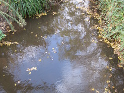 Le Fiasco de la STEP de Saint Didier