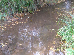 Le Fiasco de la STEP de Saint Didier