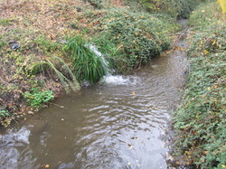 Le Fiasco de la STEP de Saint Didier