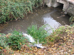 Le Fiasco de la STEP de Saint Didier