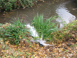 Le Fiasco de la STEP de Saint Didier