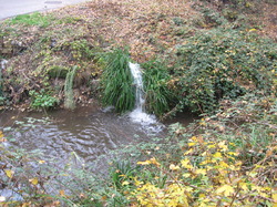 Le Fiasco de la STEP de Saint Didier