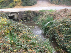 Le Fiasco de la STEP de Saint Didier
