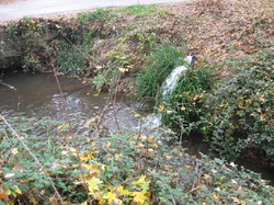 Le Fiasco de la STEP de Saint Didier