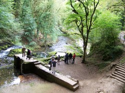 1- Le Jura & la Région des lacs