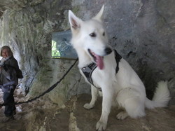 1- Le Jura & la Région des lacs