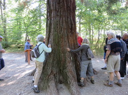 Le Parc National des Ecrins : La Chapelle en Valgaudemar