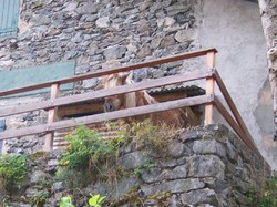 Le Parc National des Ecrins : La Chapelle en Valgaudemar
