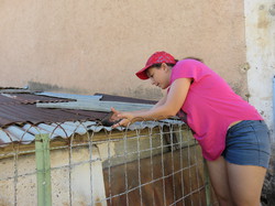 Le sentier des avens à St Christol