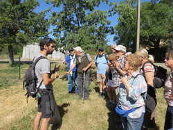 Le sentier des avens à St Christol