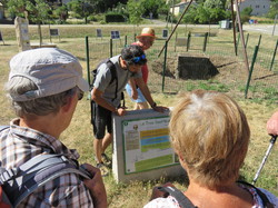Le sentier des avens à St Christol