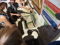 Le sentier des avens à St Christol