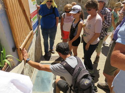 Le sentier des avens à St Christol