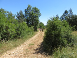 Le sentier des avens à St Christol