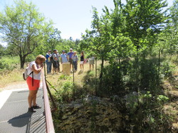 Le sentier des avens à St Christol