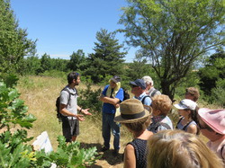 Le sentier des avens à St Christol