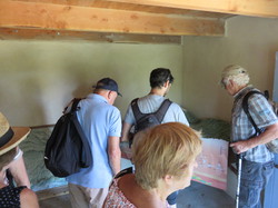 Le sentier des avens à St Christol