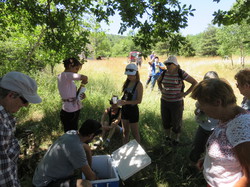 Le sentier des avens à St Christol