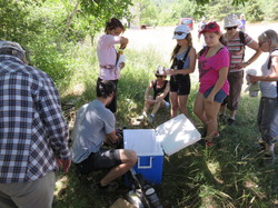 Le sentier des avens à St Christol