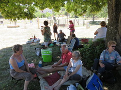 Le sentier des avens à St Christol
