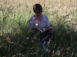 Le sentier des avens à St Christol