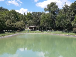 Avec Louis Igoulem & les Abeilles de la Loge