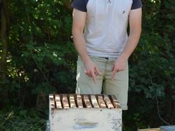 Avec Louis Igoulem & les Abeilles de la Loge
