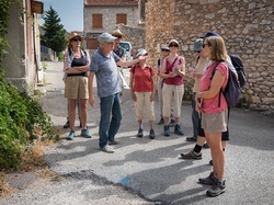 Les arbres du village à Méthamis