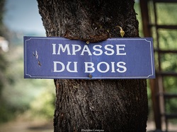 Les arbres du village à Méthamis