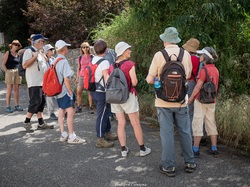 Les arbres du village à Méthamis
