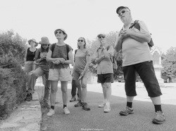 Les arbres du village à Méthamis