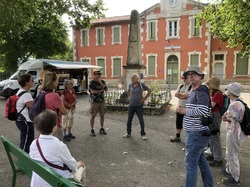 Les arbres du village à Méthamis