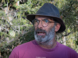 Les fruits charnus sauvages