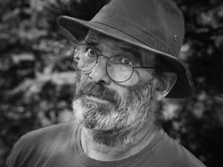 Les fruits charnus sauvages