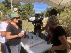 Les fruits charnus sauvages