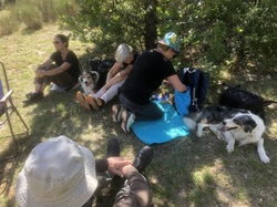 Les fruits charnus sauvages